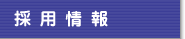 採用情報
